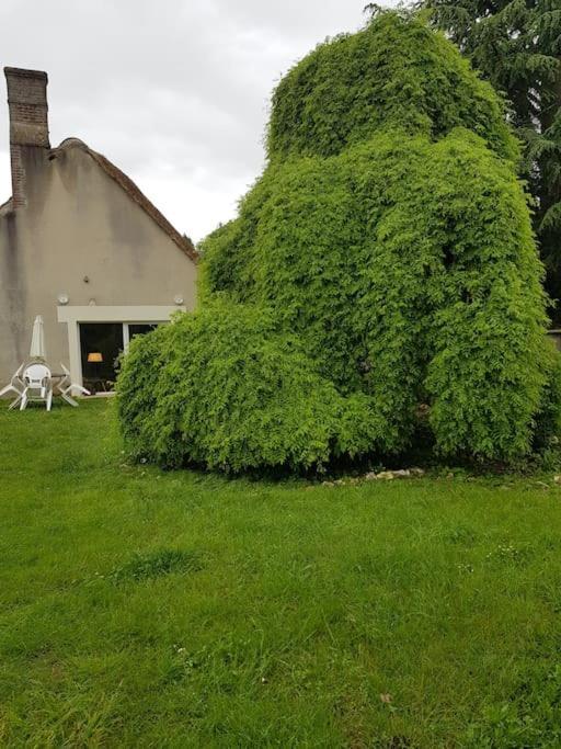 Chaumiere Avec Sa Toiture Recouverte De Chaume !!! Donnemain-Saint-Mames المظهر الخارجي الصورة